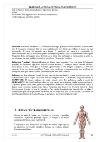 FLORENCE – ESCOLA TÉCNICA DOS PALMARES
com as funções de respiração,fonação e proteção das vias
aéreas;
No homem, a laringe tem cerca de 5cm de comprimento,
sendo um pouco menor na mulher.




Traquéia- Constituir o tubo que faz continuação a laringe, penetra no tórax e termina se bifurcando
nos 2 brônquios principais. Ela se situa medialmente por diante do esôfago e apenas na sua
terminação, desvia-se ligeiramente para direita. O arcabouço da traquéia é constituída de
aproximadamente por 20 anéis cartilagíneos incompletos para trás, que são denominados cartilagens
Traquéias. Estas cartilagens tem o formato de C entre uma cartilagem e outra,unindo-as entre si,
encontramos anéis de tecidos conjuntivos que são os Ligamentos Anulares.
Brônquios Principais- São considerados um direito outro esquerdo, Tem esse nome de brônquio
principal por fazerem a ligação da traquéia com os pulmões, O brônquio direito é menor obliquo,
mais grosso e mais curto que o esquerdo, aproximando-se em direção a traquéia, o brônquio
esquerdo cruza por frente, o esôfago, Assim como os demais componentes das vias aeríferas, os
brônquios principais são revestidos inteiramente por uma túnica mucosa.
Pulmões- são duas vísceras, situada de cada lado, no interior do tórax e onde se dar o encontro do
ar atmosférico com o sangue circulante, afim de enriquecê-lo de O2. Essa troca de gases constitui a
HEMATOSE. O espaço mediano do tórax, situado entre dois pulmões, recebe o nome de
MEDIASTINO. Os pulmões são envoltos por uma membrana serosa que recebe o nome de pleura.
O pulmão quanto a sua forma, pode ser comparado a metade de um cone de base inferior, sendo o
direito mais volumoso, porem mais baixo. Apresenta três faces: Face Costal ( lateral ), Face
diafragmatica (interior ou base do pulmão) e Face medial (mediastinica). Essa divisão em lobos é
estabelecidas por sulcos profundos existentes em sua superfície, que são as fissuras. Em ambos os
pulmões encontramos a fissura obliqua, só que direito existe a fissura horizontal.




     7. SISTEMA CIRCULATORIO HUMANO

   Sistema de vasos fechados, que formam em conjunto o aparelho
   circulatório. Apresenta principal órgão: O coração e os vasos
   sangüíneos (artérias, veias e capilares).

   É responsável pela distribuição do sangue por todo o corpo, que se
   faz a partir do movimento ritmado do coração e a condução através
   dos vasos sangüíneos.

30/07/08                           ANATOMIA E FISIOLOGIA HUMANA                                 11
 