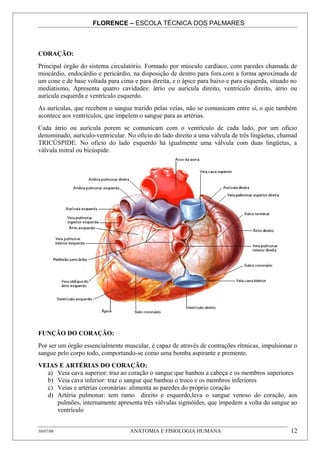 FLORENCE – ESCOLA TÉCNICA DOS PALMARES



CORAÇÃO:
Principal órgão do sistema circulatório. Formado por músculo cardíaco, com paredes chamada de
miocárdio, endocárdio e pericárdio, na disposição de dentro para fora.com a forma aproximada de
um cone e de base voltada para cima e para direita, e o ápice para baixo e para esquerda, situado no
mediatismo, Apresenta quatro cavidades: átrio ou aurícula direito, ventrículo direito, átrio ou
aurícula esquerda e ventrículo esquerdo.
As aurículas, que recebem o sangue trazido pelas veias, não se comunicam entre si, o que também
acontece aos ventrículos, que impelem o sangue para as artérias.
Cada átrio ou aurícula porem se comunicam com o ventrículo de cada lado, por um oficio
denominado, auriculo-ventricular. No oficio do lado direito a uma válvula de três lingüetas, chamad
TRICÚSPIDE. No oficio do lado esquerdo há igualmente uma válvula com duas lingüetas, a
válvula mitral ou bicúspide.




FUNÇÃO DO CORAÇÃO:
Por ser um órgão essencialmente muscular, é capaz de através de contrações rítmicas, impulsionar o
sangue pelo corpo todo, comportando-se como uma bomba aspirante e premente.
VEIAS E ARTÉRIAS DO CORAÇÃO:
  a) Veia cava superior: traz ao coração o sangue que banhou a cabeça e os membros superiores
  b) Veia cava inferior: traz o sangue que banhou o troco e os membros inferiores
  c) Veias e artérias coronárias: alimenta as paredes do próprio coração
  d) Artéria pulmonar: tem ramo direito e esquerdo,leva o sangue venoso do coração, aos
     pulmões, internamente apresenta três válvulas sigmóides, que impedem a volta do sangue ao
     ventrículo


30/07/08                           ANATOMIA E FISIOLOGIA HUMANA                                  12
 