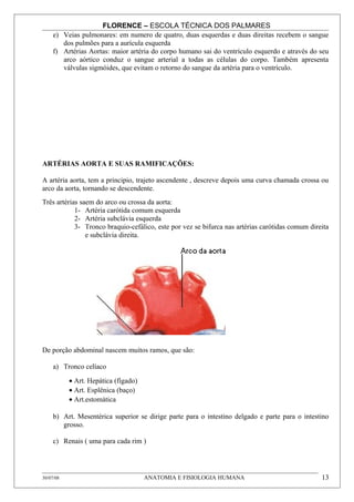FLORENCE – ESCOLA TÉCNICA DOS PALMARES
     e) Veias pulmonares: em numero de quatro, duas esquerdas e duas direitas recebem o sangue
        dos pulmões para a aurícula esquerda
     f) Artérias Aortas: maior artéria do corpo humano sai do ventrículo esquerdo e através do seu
        arco aórtico conduz o sangue arterial a todas as células do corpo. Também apresenta
        válvulas sigmóides, que evitam o retorno do sangue da artéria para o ventrículo.




ARTÉRIAS AORTA E SUAS RAMIFICAÇÕES:

A artéria aorta, tem a principio, trajeto ascendente , descreve depois uma curva chamada crossa ou
arco da aorta, tornando se descendente.
Três artérias saem do arco ou crossa da aorta:
            1- Artéria carótida comum esquerda
            2- Artéria subclávia esquerda
            3- Tronco braquio-cefálico, este por vez se bifurca nas artérias carótidas comum direita
                e subclávia direita.




De porção abdominal nascem muitos ramos, que são:

     a) Tronco celíaco
           • Art. Hepática (fígado)
           • Art. Esplênica (baço)
           • Art.estomática

     b) Art. Mesentérica superior se dirige parte para o intestino delgado e parte para o intestino
        grosso.

     c) Renais ( uma para cada rim )




30/07/08                              ANATOMIA E FISIOLOGIA HUMANA                               13
 