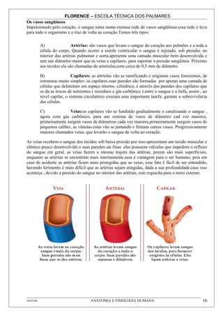 FLORENCE – ESCOLA TÉCNICA DOS PALMARES
Os vasos sangüíneos
Impulsionado pelo coração, o sangue entra numa extensa rede de vasos sangüíneas.essa rede o leva
para todo o organismo e o traz de volta ao coração.Temos três tipos:

           A)                Artérias: são vasos que levam o sangue do coração aos pulmões e a toda a
           célula do corpo, Quando ocorre a sístole ventricular o sangue é injetado, sob pressão, no
           interior das artérias pulmonar e aorta.apresenta uma camada muscular bem desenvolvida e
           tem um diâmetro maior que as veias e capilares, para suportar a pressão sangüínea. Próximo
           aos tecidos ela são chamadas de arteríolas,com cerca de 0,5 mm de diâmetro.

           B)                Capilares: as artríolas vão se ramificando e originam vasos fonissimos, de
           estruturas muito simples: os capilares.suas paredes são formadas por apenas uma camada de
           células que delimitam um espaço interno, cilíndrico, é através das paredes dos capilares que
           se da as trocas de nutrientes ( ressiduos e gás carbônico ) entre o sangue e a linfa, assim , ao
           nível capilar, o sistema circulatório executa uma importante tarefa: garante a sobrevivência
           das células.

           C)              Veias:os capilares vão se fundindo gradualmente e canalizando o sangue ,
           agora com gás carbônico, para um sistema de vasos de diâmetro cad vez maiores,
           primeiramente surgem vasos de diâmetros cada vez maiores,primeiramente surgem vasos de
           pequenos calibre, as vênulas.estas vão se juntando e firmam outros vasos. Progressivamente
           maiores chamados veias, que levarão o sangue de volta ao coração.

As veias recebem o sangue dos tecidos sob baixa pressão por isso apresentam um tecido muscular e
elástico pouco desenvolvido e suas paredes sai finas .elas possuem válvulas que impedem o refluxo
do sangue em geral, as veias fazem o mesmo trajeto das artérias, porem são mais superficiais,
enquanto as artérias se encontram mais internamente.essa é vantagem para o ser humano, pois em
caso de acidente as artérias ficam mais protegidas que as veias, esse fato é fácil de ser entendido,
havendo ferimento é mais difícil que as artérias sejam atingidas, dada a sua profundidade.caso isso
aconteça , devido a pressão do sangue no interior das artérias, este esguicha para o meio externo.




30/07/08                                ANATOMIA E FISIOLOGIA HUMANA                                    16
 