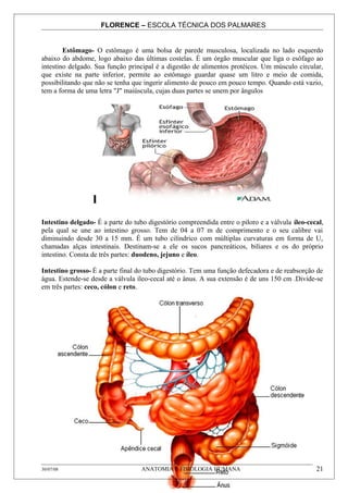 FLORENCE – ESCOLA TÉCNICA DOS PALMARES


        Estômago- O estômago é uma bolsa de parede musculosa, localizada no lado esquerdo
abaixo do abdome, logo abaixo das últimas costelas. É um órgão muscular que liga o esôfago ao
intestino delgado. Sua função principal é a digestão de alimentos protéicos. Um músculo circular,
que existe na parte inferior, permite ao estômago guardar quase um litro e meio de comida,
possibilitando que não se tenha que ingerir alimento de pouco em pouco tempo. Quando está vazio,
tem a forma de uma letra "J" maiúscula, cujas duas partes se unem por ângulos




Intestino delgado- É a parte do tubo digestório compreendida entre o piloro e a válvula íleo-cecal,
pela qual se une ao intestino grosso. Tem de 04 a 07 m de comprimento e o seu calibre vai
diminuindo desde 30 a 15 mm. É um tubo cilíndrico com múltiplas curvaturas em forma de U,
chamadas alças intestinais. Destinam-se a ele os sucos pancreáticos, biliares e os do próprio
intestino. Consta de três partes: duodeno, jejuno e íleo.

Intestino grosso- É a parte final do tubo digestório. Tem uma função defecadora e de reabsorção de
água. Estende-se desde a válvula íleo-cecal até o ânus. A sua extensão é de uns 150 cm .Divide-se
em três partes: ceco, cólon e reto.




30/07/08                           ANATOMIA E FISIOLOGIA HUMANA                                 21
 