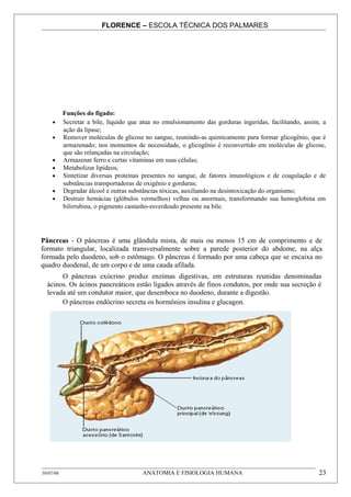 FLORENCE – ESCOLA TÉCNICA DOS PALMARES




           Funções do fígado:
     •     Secretar a bile, líquido que atua no emulsionamento das gorduras ingeridas, facilitando, assim, a
           ação da lipase;
     •     Remover moléculas de glicose no sangue, reunindo-as quimicamente para formar glicogênio, que é
           armazenado; nos momentos de necessidade, o glicogênio é reconvertido em moléculas de glicose,
           que são relançadas na circulação;
     •     Armazenar ferro e certas vitaminas em suas células;
     •     Metabolizar lipídeos;
     •     Sintetizar diversas proteínas presentes no sangue, de fatores imunológicos e de coagulação e de
           substâncias transportadoras de oxigênio e gorduras;
     •     Degradar álcool e outras substâncias tóxicas, auxiliando na desintoxicação do organismo;
     •     Destruir hemácias (glóbulos vermelhos) velhas ou anormais, transformando sua hemoglobina em
           bilirrubina, o pigmento castanho-esverdeado presente na bile.




Pâncreas - O pâncreas é uma glândula mista, de mais ou menos 15 cm de comprimento e de
formato triangular, localizada transversalmente sobre a parede posterior do abdome, na alça
formada pelo duodeno, sob o estômago. O pâncreas é formado por uma cabeça que se encaixa no
quadro duodenal, de um corpo e de uma cauda afilada.
       O pâncreas exócrino produz enzimas digestivas, em estruturas reunidas denominadas
  ácinos. Os ácinos pancreáticos estão ligados através de finos condutos, por onde sua secreção é
  levada até um condutor maior, que desemboca no duodeno, durante a digestão.
       O pâncreas endócrino secreta os hormônios insulina e glucagon.




30/07/08                                ANATOMIA E FISIOLOGIA HUMANA                                     23
 