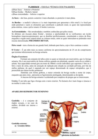 FLORENCE – ESCOLA TÉCNICA DOS PALMARES
a)Duas faces – Anterior e Posterior
b)Duas bordas – Medial e lateral
c)Duas extremidades – Inferior e superior
As faces – são lisas, porem a anterior é mais abaulada e a posterior é mais plana.

As Bordas – a medial é côncava e é a mais importante por apresentar o hilo renal ( é o local por
onde penetram e saem os elementos que constituem o pedículo renal, os quais são representados
pelas artérias, veias e pelve renais) A borda é convexa.

As Extremidades – São arredondadas e também conhecidas por pólos renais.
Se abrimos um rin,num plano frontal , teremos a oportunidade de se verificarmos um tecido
homogêneo (macroscopicamente), que se distribui perifericamente, constituindo o córtex do Rim,
enquanto a região mais central temos as colunas renais, entre as quais intercalam-se pirâmides mais
escuras denominadas PIRÂMIDES RENAIS.

Pelve renal – tem a forma de um grande funil, dobrado para baixo, cujo o bico continua o ureter.

O Ureter – É um tubo mais ou menos uniforme de aproximadamente de 25 cm de comprimento
que termina inferiormente na bexiga urinaria.

Órgãos Excretores
            Formam um conjunto de tubos entre os quais se intercala um reservatório, que é a bexiga
urinaria. Ela é um reservatório de forma esférica quando em plenitude, quando vazia ela se colaba e
achata. Sua capacidade normal gira em torno de 300ml e existe indivíduos que suportam 1 litro ou 1
litro e meio de urina, antes da sensação de repleção.esta situada na cavidade pelviana, por trás da
sínfise pubiana: do qual é separada por um espaço denominado de espaço retropúdico, que é
preenchido por denso tecido gorduroso.
            Admitida com forma globosa, a maior extensão da bexiga receba o nome de corpo,
enquanto que para cima , apresenta-se ligeiramente pontiaguda, denominando-se de ápode.
            A mucosa da bexiga urinaria é acidentado por complexo de pregas que se intercruzam.
Uretra- É um tubo que liga a bexiga com o meio exterior. No homem ela é mais longa e sinuosa e
na mulher é curta e reta.



APARELHO REPRODUTOR FEMININO



Genitália – é o conjunto de
órgãos sexuais, e no caso da
mulher, dividido em interno e
externo.




Genitália externa:
   a) Grandes lábios


30/07/08                            ANATOMIA E FISIOLOGIA HUMANA                                   25
 