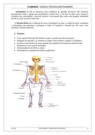 FLORENCE – ESCOLA TÉCNICA DOS PALMARES

      Articulações ⇒ São os elementos mais complexos do aparelho locomotor. São estruturas
parcialmente moles e rígidas que possibilitam a união entre si, de dois ou mais ossos. Graças à
existência das articulações é possível realizar o movimento dos ossos sem desgaste demasiado
devido ao roçar excessivo entre eles.

    O Sistema Ósseo ⇒ é composto de ossos e cartilagens, ou seja, é a união de ossos, cartilagens
e articulações que sustentam e protegem o corpo. O esqueleto é formado por 206 ossos, com
tamanhos e formas diferentes.


     2. Funções:

     •     É um suporte firme que dar forma ao corpo e sustenta suas diversas partes;
     •     Protegem de agressões, os sistemas ou órgãos vitais (cérebro, coração e os pulmões);
     •     Facilita os movimentos do corpo atuando em conjunto com numerosos músculos que
           prendem aos ossos através de tendões.
     •     Armazenamento de fósforo e cálcio;
     •     Hematopoiese ( produção de células sangüíneas).




30/07/08                              ANATOMIA E FISIOLOGIA HUMANA                                3
 