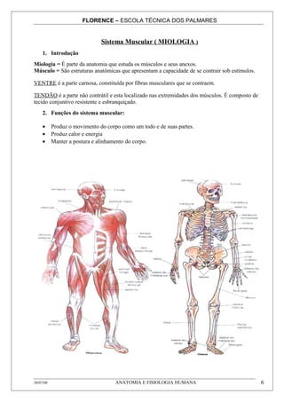 FLORENCE – ESCOLA TÉCNICA DOS PALMARES


                               Sistema Muscular ( MIOLOGIA )
     1. Introdução
Miologia = É parte da anatomia que estuda os músculos e seus anexos.
Músculo = São estruturas anatômicas que apresentam a capacidade de se contrair sob estímulos.

VENTRE é a parte carnosa, constituída por fibras musculares que se contraem.

TENDÃO é a parte não contrátil e esta localizado nas extremidades dos músculos. É composto de
tecido conjuntivo resistente e esbranquiçado.
     2. Funções do sistema muscular:

     •     Produz o movimento do corpo como um todo e de suas partes.
     •     Produz calor e energia
     •     Manter a postura e alinhamento do corpo.




30/07/08                             ANATOMIA E FISIOLOGIA HUMANA                               6
 