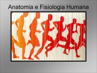 Anatomia e Fisiologia Humana
 