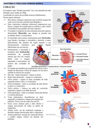 49
CORAÇÃO
O coração é uma “bomba muscular” oca, com tamanho da mão
fechada e peso médio de 300g;
Localizado no centro da ...