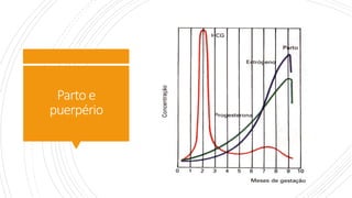 Parto e
puerpério
 