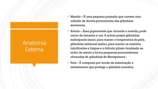 Anatomia
Externa
§ Mamilo – É uma pequena projeção que contem uma
coleção de ductos provenientes das glândulas
secretoras;
§ Aréola – Área pigmentada que circunda o mamilo, pode
variar de tamanho e cor. A aréola possui glândulas
sudoríparas (suor), para manter a temperatura da pele,
glândulas sebáceas (sebo), para manter os mamilos
lubrificados e limpos e o folículo piloso, localizado ao
redor da aréola e forma pequenas proeminências
chamadas de glândulas de Montgomery ;
§ Pele – É composta por tecido de sustentação e
revestimento que protege a glândula mamária.
 