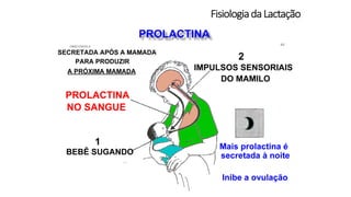 FisiologiadaLactação
 
