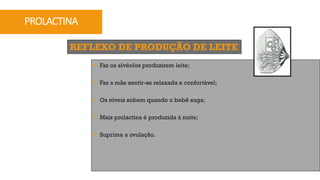 REFLEXO DE PRODUÇÃO DE LEITE
PROLACTINA
§ Faz os alvéolos produzirem leite;
§ Faz a mãe sentir-se relaxada e confortável;
§ Os níveis sobem quando o bebê suga;
§ Mais prolactina é produzida à noite;
§ Suprime a ovulação.
 