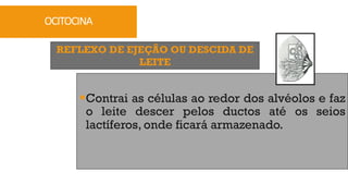 REFLEXO DE EJEÇÃO OU DESCIDA DE
LEITE
OCITOCINA
§Contrai as células ao redor dos alvéolos e faz
o leite descer pelos ductos até os seios
lactíferos, onde ficará armazenado.
 