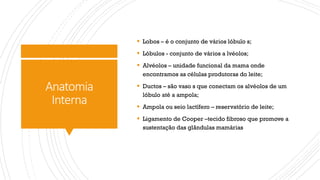 Anatomia
Interna
§ Lobos – é o conjunto de vários lóbulo s;
§ Lóbulos - conjunto de vários a lvéolos;
§ Alvéolos – unidade funcional da mama onde
encontramos as células produtoras do leite;
§ Ductos – são vaso s que conectam os alvéolos de um
lóbulo até a ampola;
§ Ampola ou seio lactífero – reservatório de leite;
§ Ligamento de Cooper –tecido fibroso que promove a
sustentação das glândulas mamárias
 