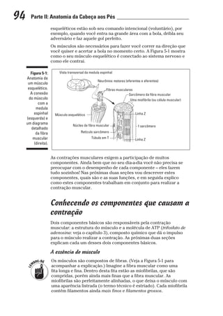 Anatomia_e_Fisiologia_para_Leigos.pdf