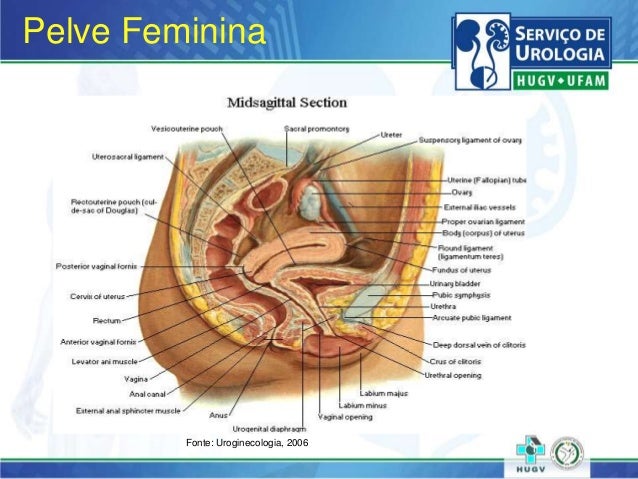 No es de Anatomia