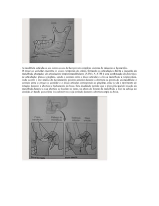 A mandíbula articula-se aos outros ossos da face por um complexo sistema de músculos e ligamentos.
O processo condilar encontra os ossos temporais do crânio, formando as articulações direita e esquerda da
mandíbula, chamadas de articulações temporomandibulares (ATM). A ATM é uma combinação de dois tipos
de articulação: plana e gínglimo, sendo o contato entre o disco articular e a fossa mandibular a porção plana,
onde ocorre o movimento de deslizamento póstero-anterior durante a abertura ou protrusão da mandíbula: o
contato entre o processo condilar e o disco articular corresponde ao gínglimo, onde se da o movimento de
rotação durante a abertura e fechamento da boca. Esta dualidade permite que o pivô principal de rotação da
mandíbula durante a sua abertura se localize no ramo, na altura do forame da mandíbula, e não na cabeça do
côndilo, evitando que o feixe vasculonervoso seja estirado durante a abertura ampla da boca.
 