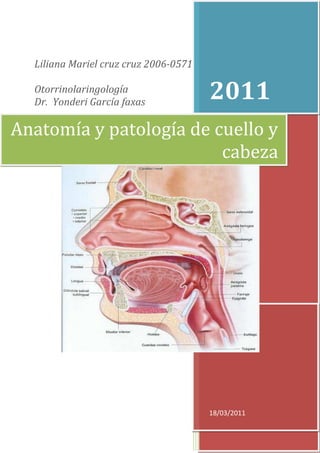 Liliana Mariel cruz cruz 2006-0571

  Otorrinolaringología
  Dr. Yonderi García faxas
                                       2011
Anatomía y patología de cuello y
                         cabeza




                                       18/03/2011
 