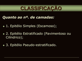  1. Epitélio Simples (Escamoso);
 2. Epitélio Estratificado (Pavimentoso ou
Cilíndrico);
 3. Epitélio Pseudo-estratificado.
CLASSIFICAÇÃO
Quanto ao nº. de camadas:
 