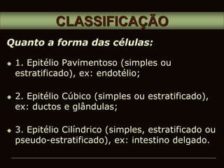  1. Epitélio Pavimentoso (simples ou
estratificado), ex: endotélio;
 2. Epitélio Cúbico (simples ou estratificado),
ex: ductos e glândulas;
 3. Epitélio Cilíndrico (simples, estratificado ou
pseudo-estratificado), ex: intestino delgado.
CLASSIFICAÇÃO
Quanto a forma das células:
 