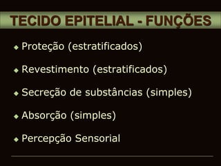  Proteção (estratificados)
 Revestimento (estratificados)
 Secreção de substâncias (simples)
 Absorção (simples)
 Percepção Sensorial
TECIDO EPITELIAL - FUNÇÕES
 