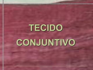 TECIDO
CONJUNTIVO
 