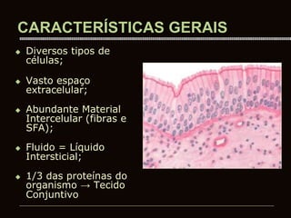 CARACTERÍSTICAS GERAIS
 Diversos tipos de
células;
 Vasto espaço
extracelular;
 Abundante Material
Intercelular (fibras e
SFA);
 Fluido = Líquido
Intersticial;
 1/3 das proteínas do
organismo → Tecido
Conjuntivo
 