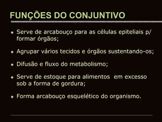 FUNÇÕES DO CONJUNTIVO
 Serve de arcabouço para as células epiteliais p/
formar órgãos;
 Agrupar vários tecidos e órgãos sustentando-os;
 Difusão e fluxo do metabolismo;
 Serve de estoque para alimentos em excesso
sob a forma de gordura;
 Forma arcabouço esquelético do organismo.
 