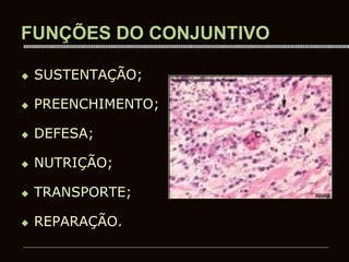 FUNÇÕES DO CONJUNTIVO
 SUSTENTAÇÃO;
 PREENCHIMENTO;
 DEFESA;
 NUTRIÇÃO;
 TRANSPORTE;
 REPARAÇÃO.
 