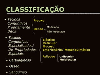 • Tecidos
Conjuntivos
Propriamente
Ditos
• Tecidos
Conjuntivos
Especializados/
De Propriedades
Especiais
• Cartilaginoso
• Ósseo
• Sanguíneo
Frouxo
Denso
Modelado
Não modelado
Elástico
Reticular
Mucoso
Embrionário/ Mesenquimático
Adiposo Unilocular
Multilocular
CLASSIFICAÇÃO
 
