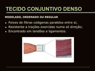 TECIDO CONJUNTIVO DENSO
 Feixes de fibras colágenas paralelos entre si;
 Resistente a trações exercidas numa só direção;
 Encontrado em tendões e ligamentos.
MODELADO, ORDENADO OU REGULAR
 