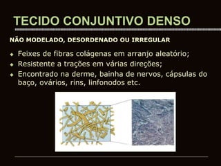 TECIDO CONJUNTIVO DENSO
 Feixes de fibras colágenas em arranjo aleatório;
 Resistente a trações em várias direções;
 Encontrado na derme, bainha de nervos, cápsulas do
baço, ovários, rins, linfonodos etc.
NÃO MODELADO, DESORDENADO OU IRREGULAR
 
