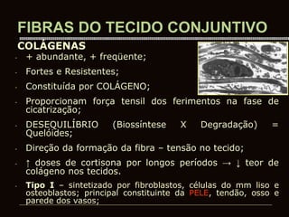 FIBRAS DO TECIDO CONJUNTIVO
- + abundante, + freqüente;
- Fortes e Resistentes;
- Constituída por COLÁGENO;
- Proporcionam força tensil dos ferimentos na fase de
cicatrização;
- DESEQUILÍBRIO (Biossíntese X Degradação) =
Quelóides;
- Direção da formação da fibra – tensão no tecido;
- ↑ doses de cortisona por longos períodos → ↓ teor de
colágeno nos tecidos.
- Tipo I – sintetizado por fibroblastos, células do mm liso e
osteoblastos; principal constituinte da PELE, tendão, osso e
parede dos vasos;
COLÁGENAS
 
