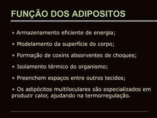FUNÇÃO DOS ADIPOSITOS
Armazenamento eficiente de energia;
Modelamento da superfície do corpo;
Formação de coxins absorventes de choques;
Isolamento térmico do organismo;
Preenchem espaços entre outros tecidos;
Os adipócitos multiloculares são especializados em
produzir calor, ajudando na termorregulação.
 