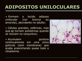 Mama
ADIPOSITOS UNILOCULARES
Formam o tecido adiposo
unilocular (cor branca ou
amarela), abundante no adulto;
Células grandes, esféricas, mas
que se tornam poliédricas quando
se reúnem no conjuntivo;
Acumulam gordura
continuamente em uma única
gotícula (sem membrana) que
acaba preenchendo quase todo o
citoplasma.
 