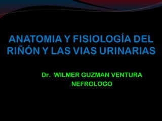 Dr. WILMER GUZMAN VENTURA
NEFROLOGO
 
