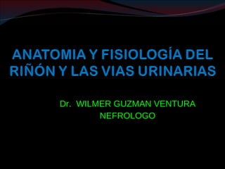 Dr. WILMER GUZMAN VENTURA
        NEFROLOGO
 