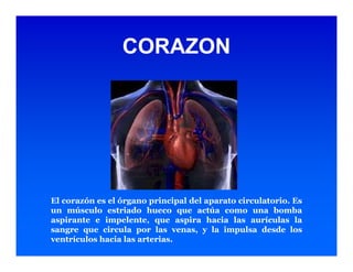 Sistema de Conducción Cardiaca