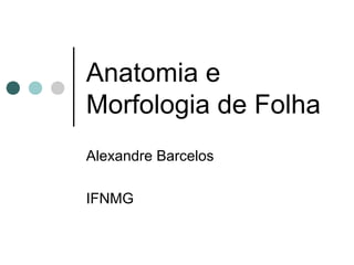 Anatomia e
Morfologia de Folha
Alexandre Barcelos
IFNMG
 