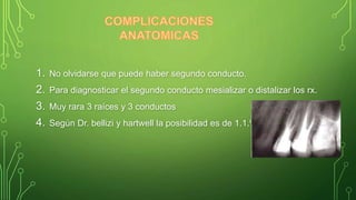 1. No olvidarse que puede haber segundo conducto.
2. Para diagnosticar el segundo conducto mesializar o distalizar los rx.
3. Muy rara 3 raíces y 3 conductos
4. Según Dr. bellizi y hartwell la posibilidad es de 1.1.%
 