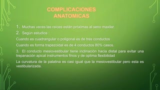 1. Muchas veces las raíces están próximas al seno maxilar.
2. Según estudios :
Cuando es cuadrangular o poligonal es de tres conductos
Cuando es forma trapezoidal es de 4 conductos 80% casos.
3. El conducto mesiovestibular tiene inclinación hacia distal para evitar una
trepanación apical instrumentos finos y de optima flexibilidad
La curvatura de la palatina es casi igual que la mesiovestibular pero esta es
vestibularizada.
 