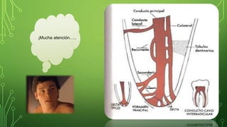 ¡Mucha atención…..
 