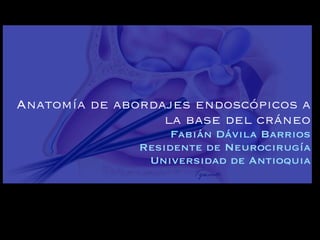 Anatomía de abordajes endoscópicos a
                  la base del cráneo
                    Fabián Dávila Barrios
               Residente de Neurocirugía
                Universidad de Antioquia
 