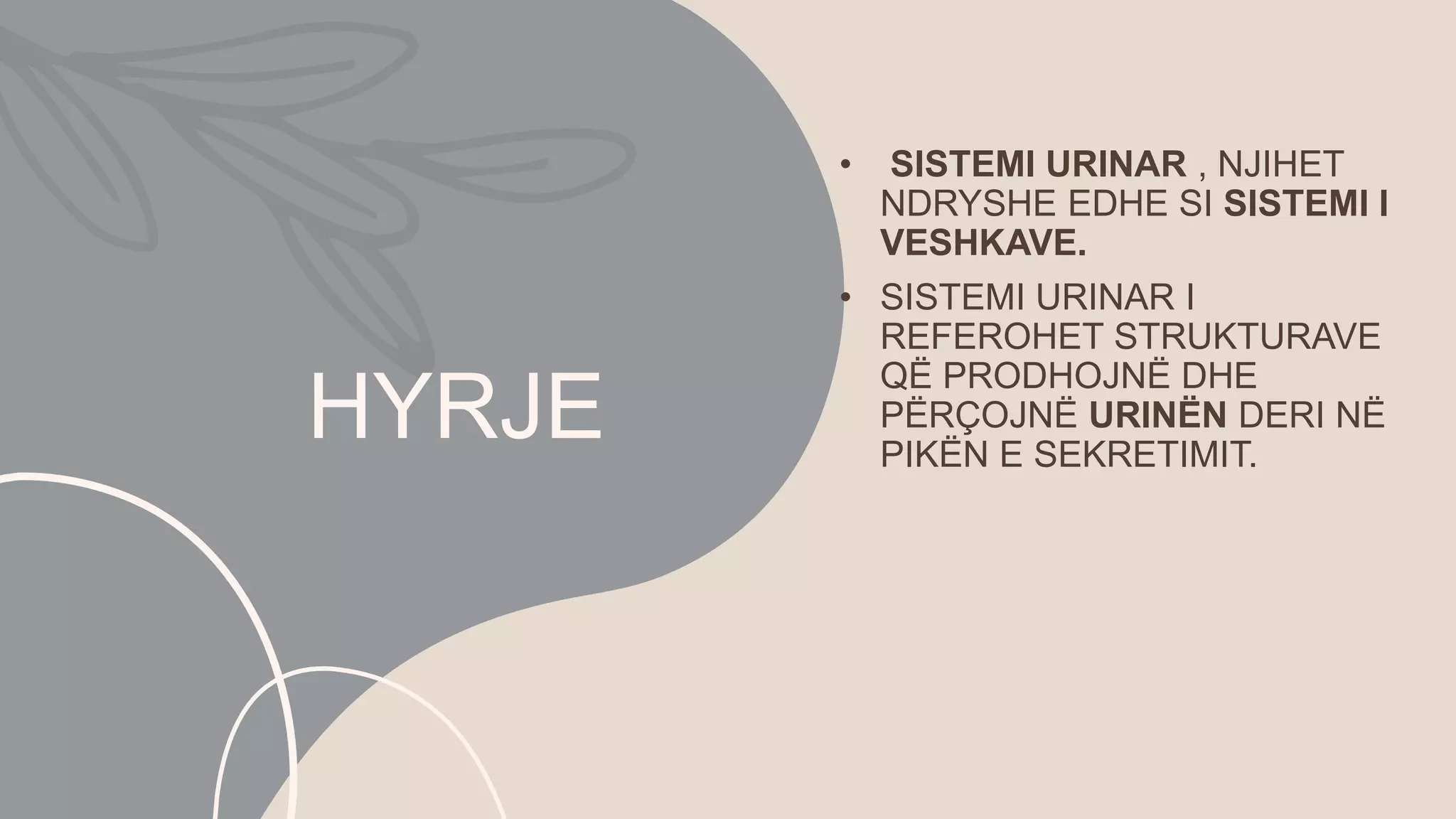 Urinar ANATOMIA E PERGJITHSME E SISTEMIT URINAR.pptx