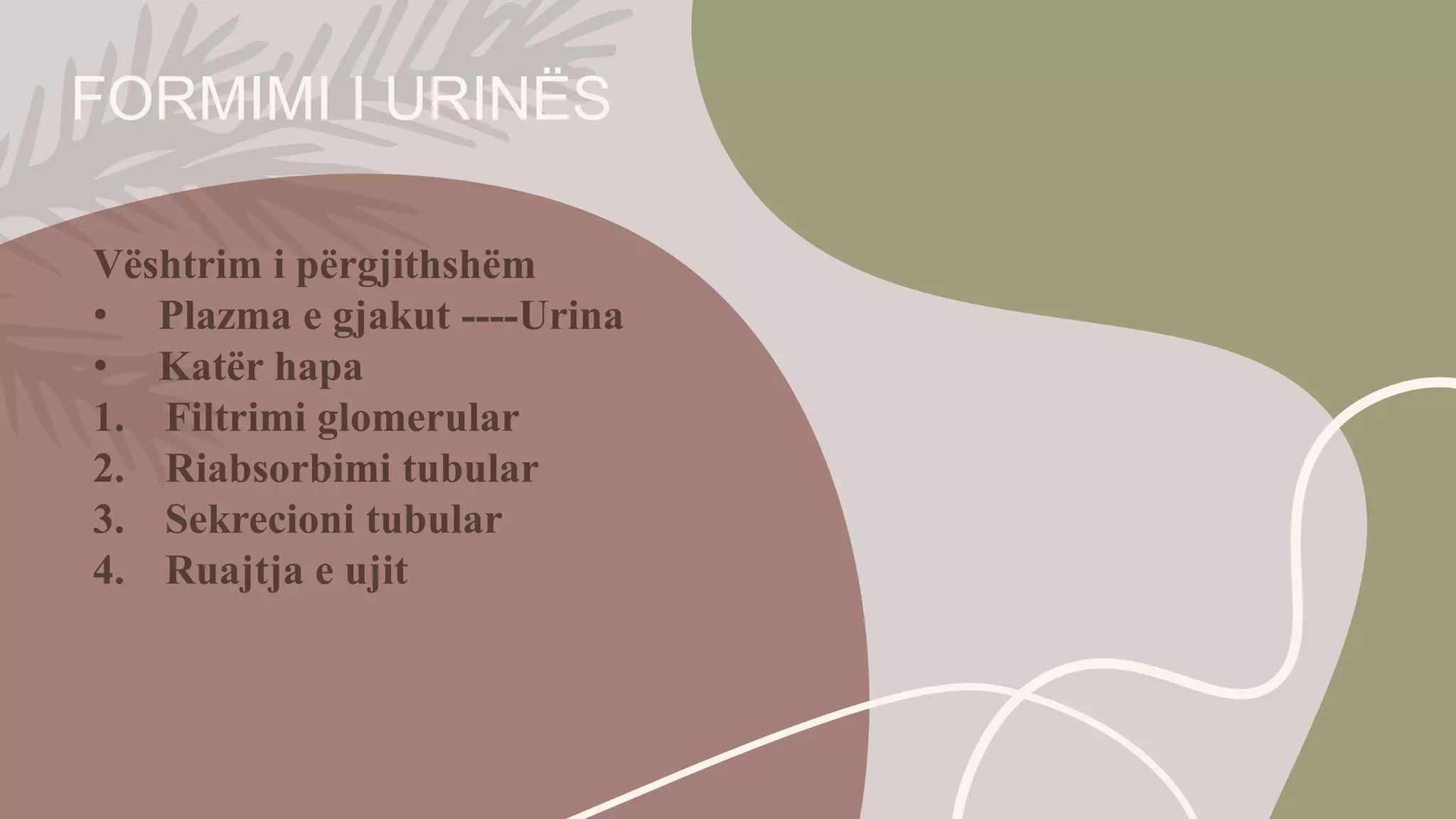 ANATOMIA E PERGJITHSME E SISTEMIT URINAR.pptx