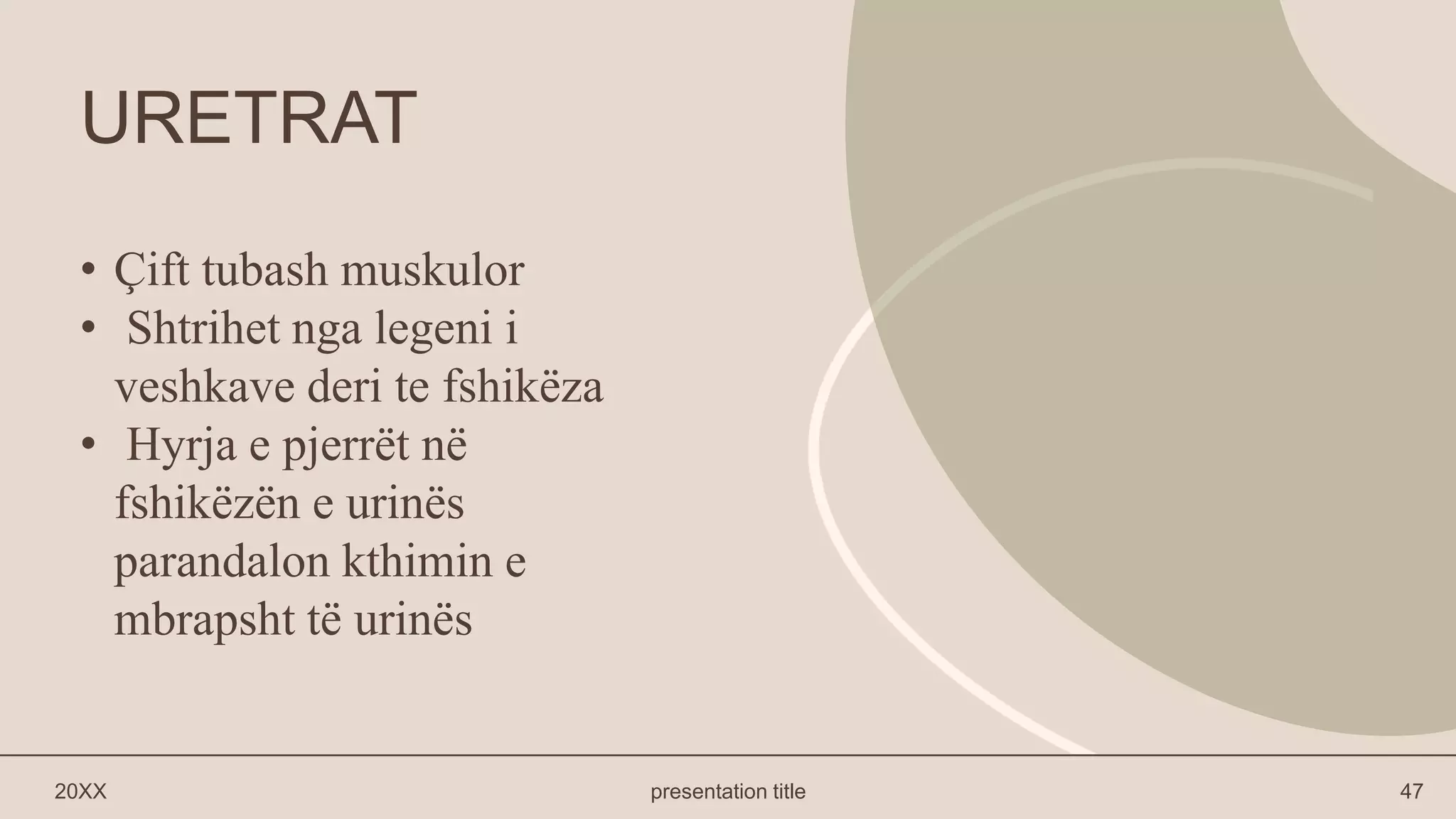 Frymarja ANATOMIA E PERGJITHSME E SISTEMIT URINAR.pptx