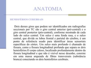 ANATOMIA HEMISFÉRIOS CEREBRAIS Dois desses giros que podem ser identificados em radiografias seccionais por TC são o giro central anterior (pré-central) e o giro central posterior (pós-central), conforme mostrado de cada lado do sulco central. Um sulco é uma fenda rasa, e o sulco central, que divide os lobos frontal e parietal do cérebro, é um ponto de referência usado para identificar áreas sensoriais específicas do córtex. Um sulco mais profundo é chamado de fissura, como a fissura longitudinal profunda que separa os dois hemisférios.O corpo caloso, localizado profundamente dentro da fissura longitudinal e que não é visível nesse desenho, consiste em uma massa arqueada de fibras transversais (substância branca) conectando os dois hemisférios cerebrais. 