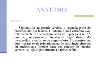ANATOMIA TÁLAMO Seguindo-se ao grande cérebro, a segunda parte do prosencéfalo é o tálamo. O tálamo é uma estrutura oval relativamente pequena (com cerca de 1 polegada ou 2,5 em de comprimento), localizada logo abaixo do mesencéfalo e embaixo do corpo caloso. Ele consiste em duas massas ovais primariamente de substância cinzenta ou núcleos que formam parte das paredes do terceiro ventrículo, logo superiormente ao mesencéfalo. 