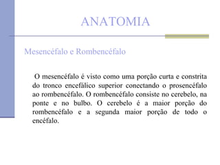 ANATOMIA Mesencéfalo e Rombencéfalo O mesencéfalo é visto como uma porção curta e constrita do tronco encefálico superior conectando o prosencéfalo ao rombencéfalo. O rombencéfalo consiste no cerebelo, na ponte e no bulbo. O cerebelo é a maior porção do rombencéfalo e a segunda maior porção de todo o encéfalo. 
