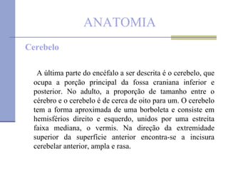 ANATOMIA Cerebelo A última parte do encéfalo a ser descrita é o cerebelo, que ocupa a porção principal da fossa craniana inferior e posterior. No adulto, a proporção de tamanho entre o cérebro e o cerebelo é de cerca de oito para um. O cerebelo tem a forma aproximada de uma borboleta e consiste em hemisférios direito e esquerdo, unidos por uma estreita faixa mediana, o vermis. Na direção da extremidade superior da superfície anterior encontra-se a incisura cerebelar anterior, ampla e rasa.  