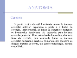 ANATOMIA Cerebelo O quarto ventrículo está localizado dentro da incisura cerebelar anterior, separando a ponte e o bulbo do cerebelo. Inferiormente, ao longo da superfície posterior, os hemisférios cerebelares são separados pela incisura cerebelar posterior. Uma extensão da dura-máter, chamada foice do cerebelo, está localizada dentro da incisura cerebelar posterior.o cerebelo primariamente coordena as funções mataras do corpo, tais como coordenação, postura e equilíbrio. 